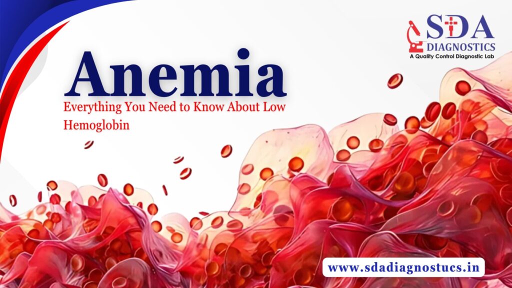 Anemia: Everything You Need to Know About Low Hemoglobin