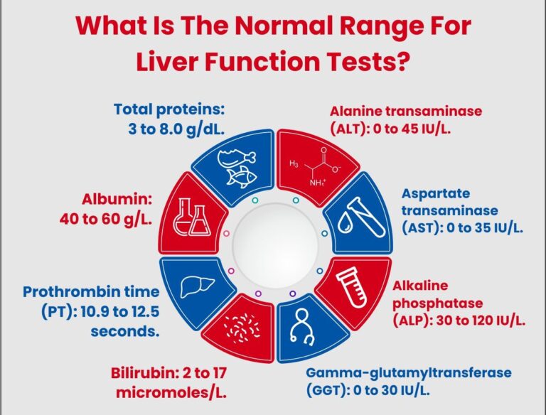Liver Function Test