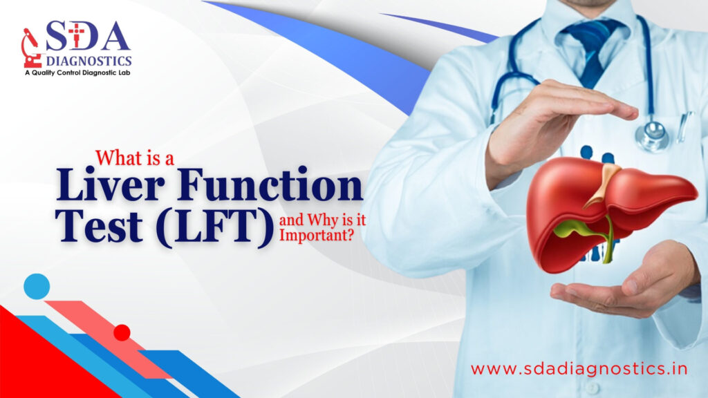 What is a Liver Function Test (LFT) and Why is it Important?