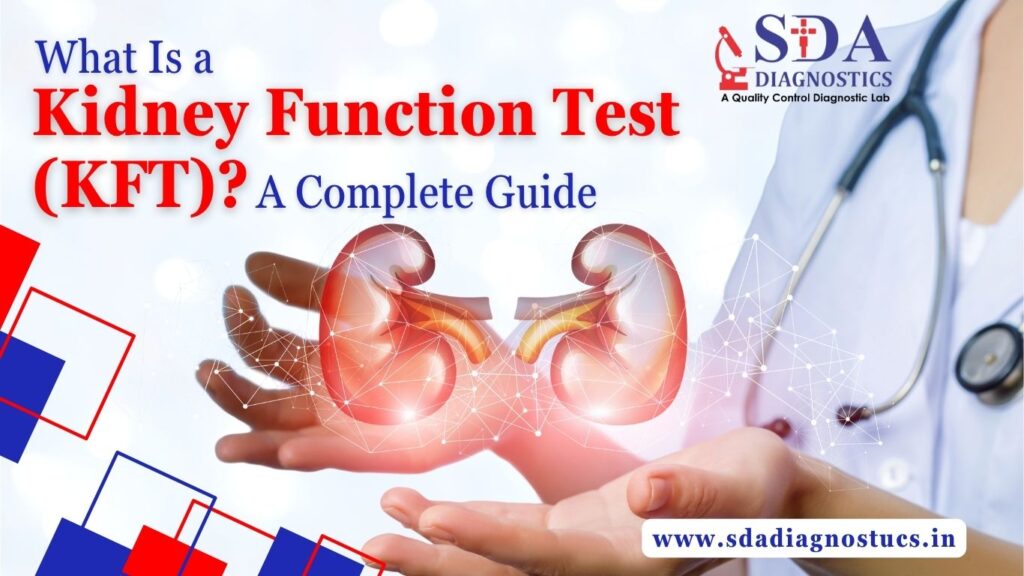 What Is a Kidney Function Test (KFT)? A Complete Guide