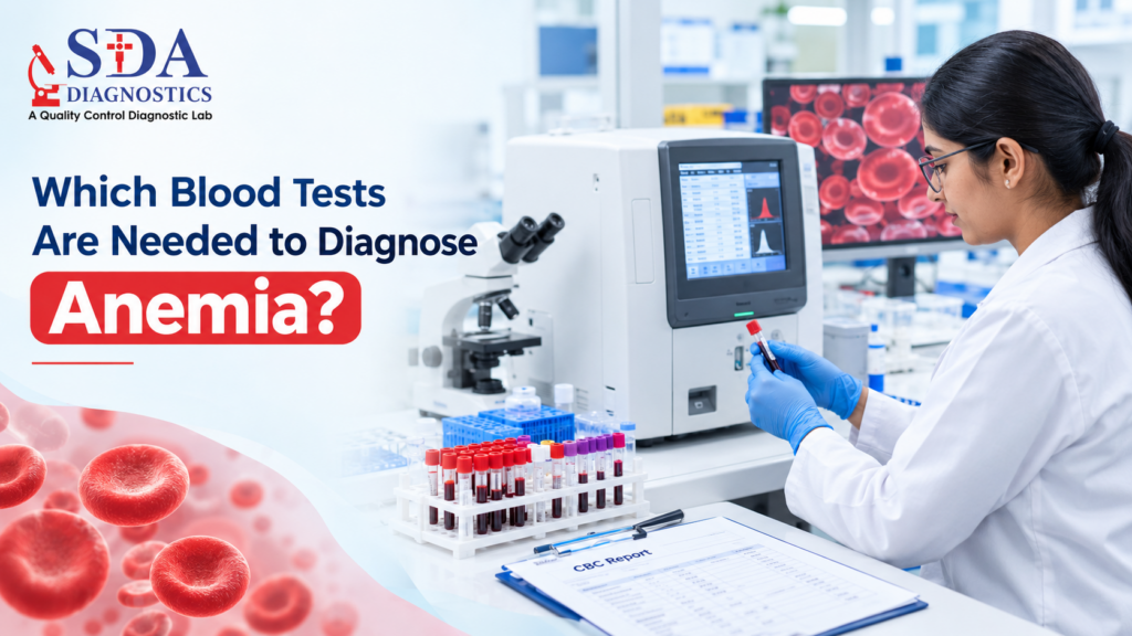 Which Blood Tests Are Needed to Diagnose Anemia?
